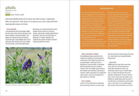 Mountain States Foraging