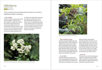 Mountain States Foraging