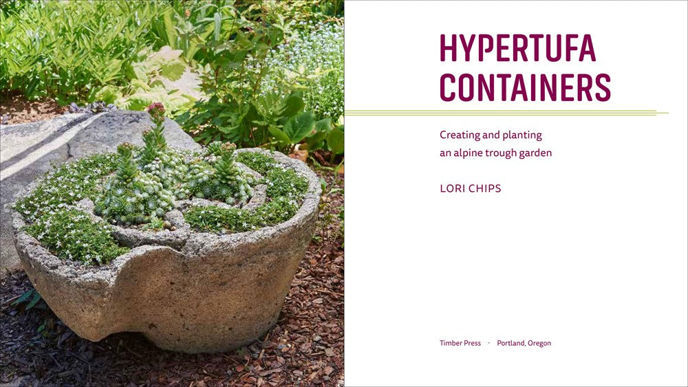 Hypertufa Containers