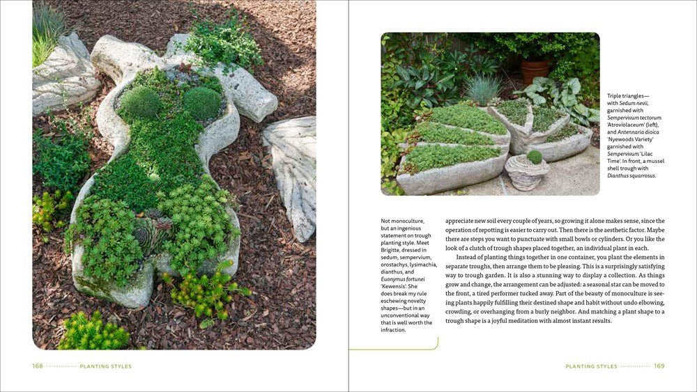 Hypertufa Containers