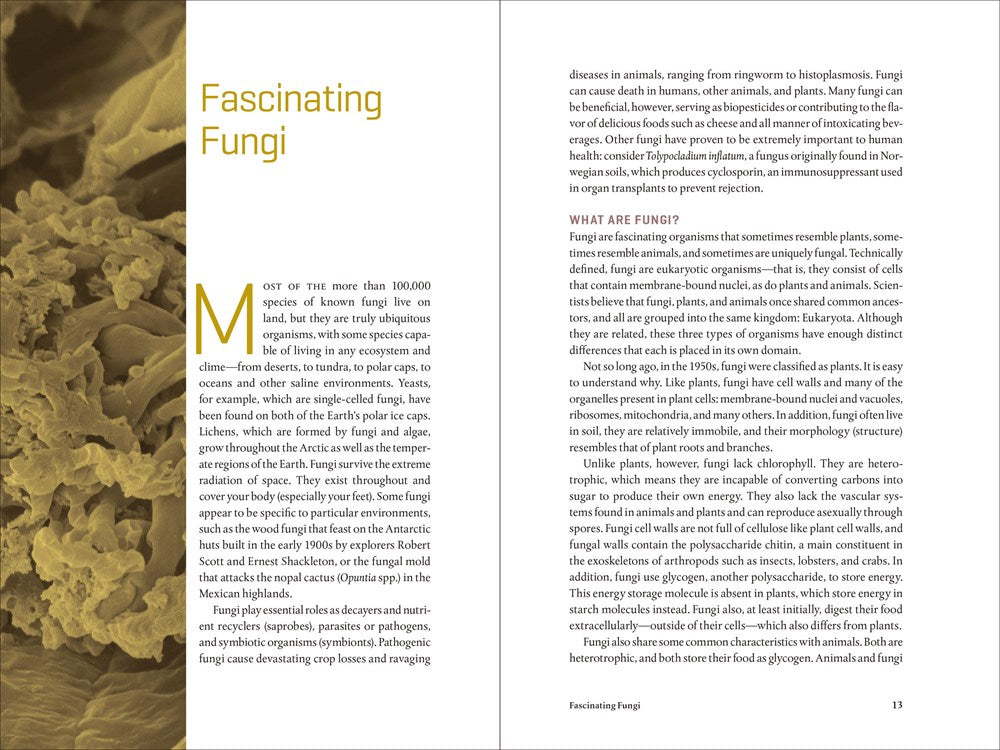 Teaming with Fungi