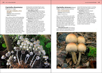Mushrooms of the Southeast