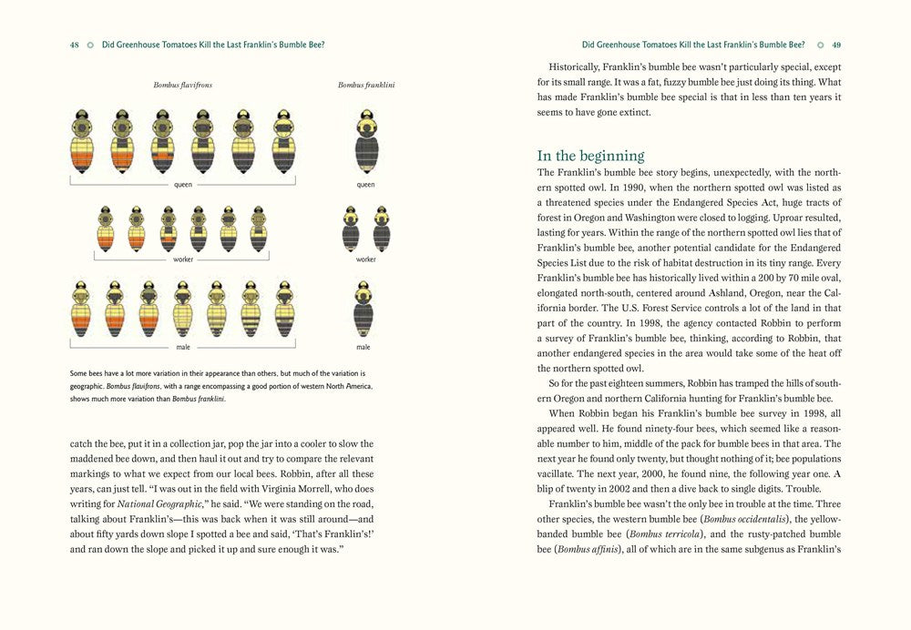 Our Native Bees