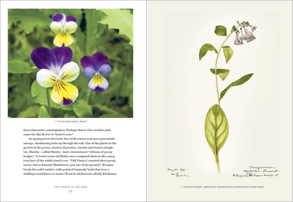 Emily Dickinson's Gardening Life