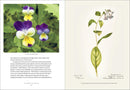Emily Dickinson's Gardening Life