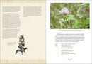 Emily Dickinson's Gardening Life