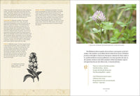Emily Dickinson's Gardening Life