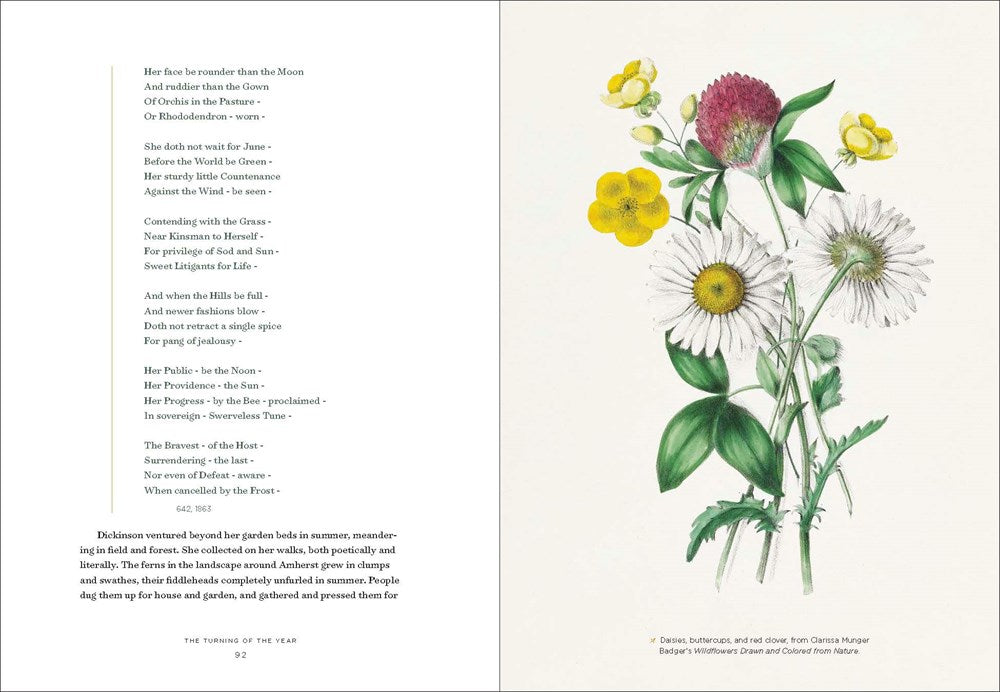 Emily Dickinson's Gardening Life