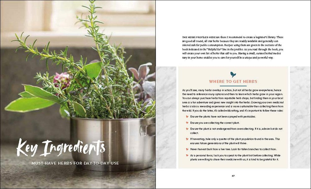 Master Recipes from the Herbal Apothecary: 375 Tinctures, Salves, Teas, Capsules, Oils, and Washes for Whole-Body Health and Wellness