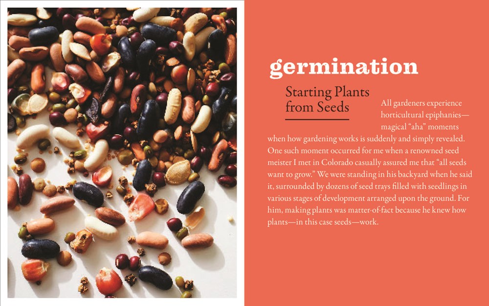 The New Gardener's Handbook