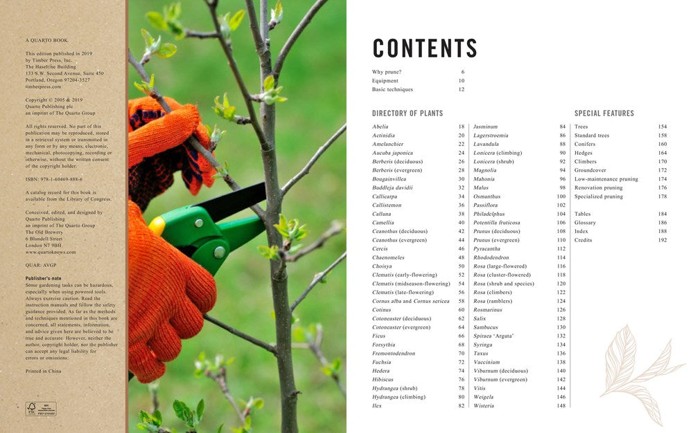 Pruning Simplified