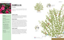 Pruning Simplified