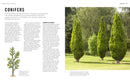 Pruning Simplified