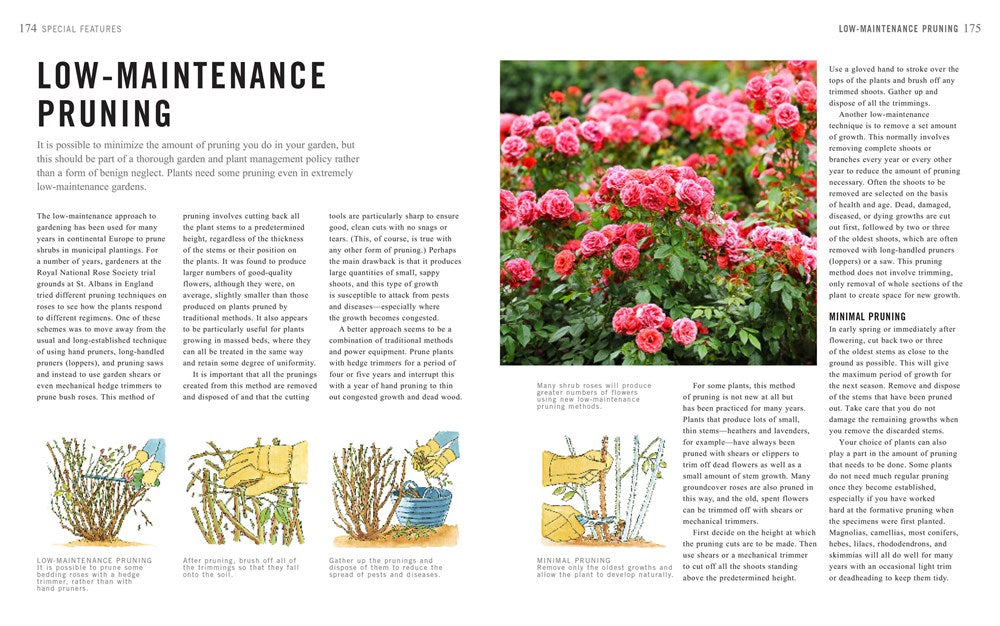 Pruning Simplified