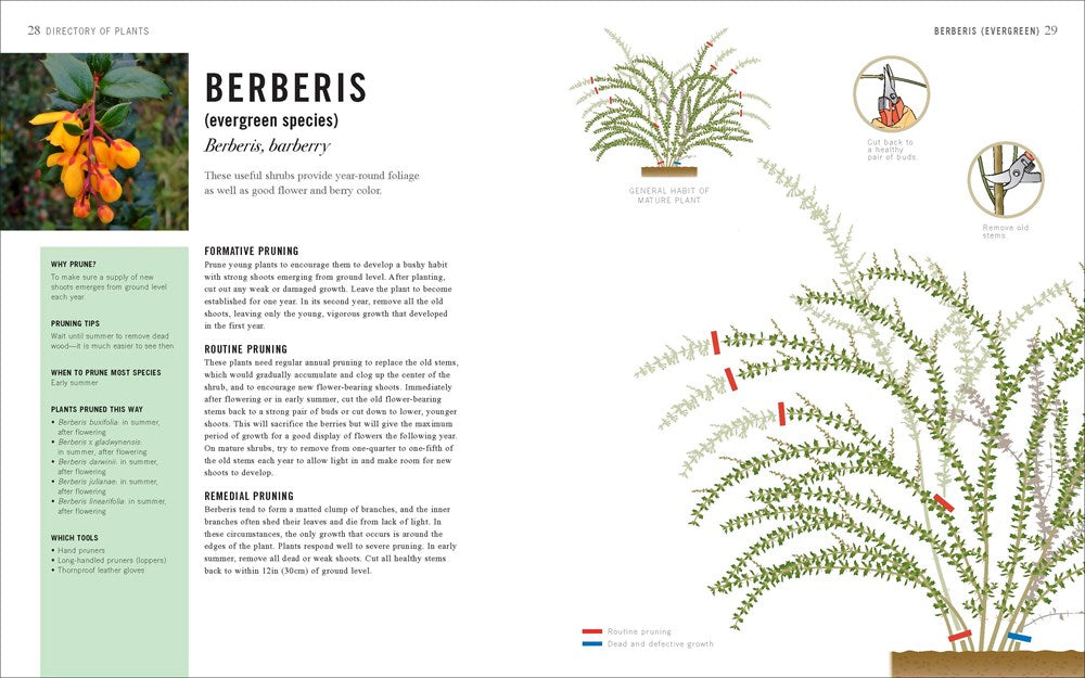 Pruning Simplified