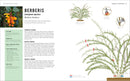 Pruning Simplified