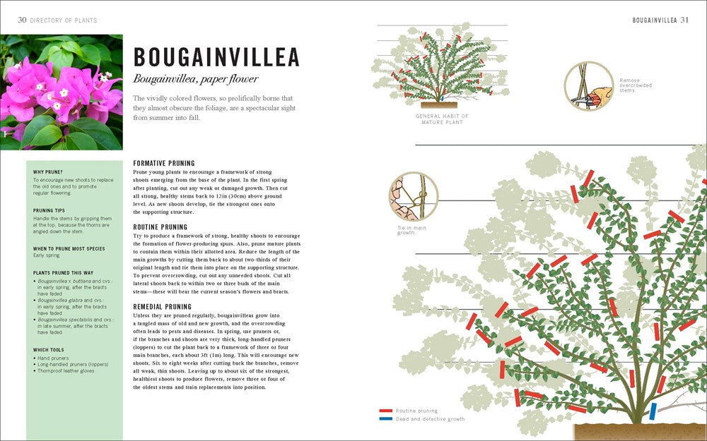 Pruning Simplified