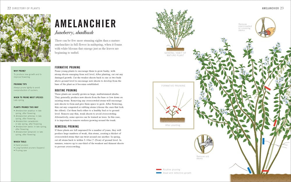 Pruning Simplified