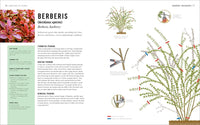 Pruning Simplified