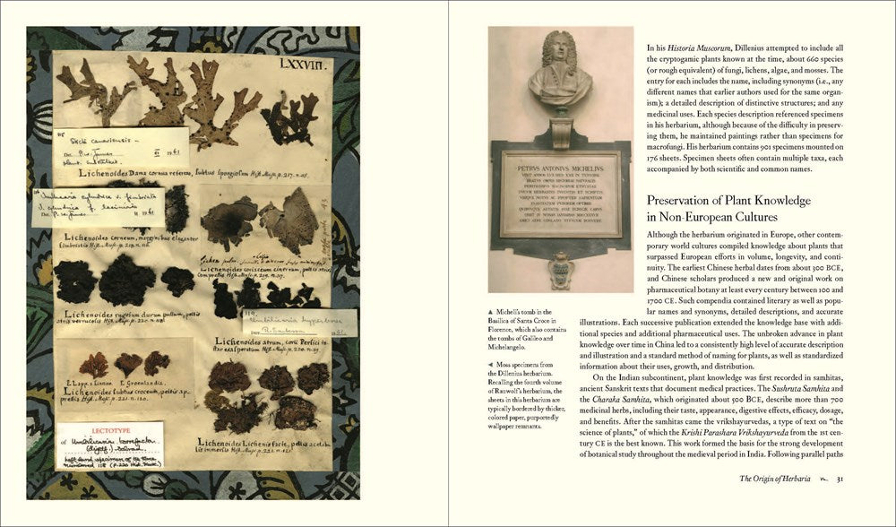 Herbarium