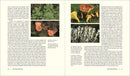 Herbarium