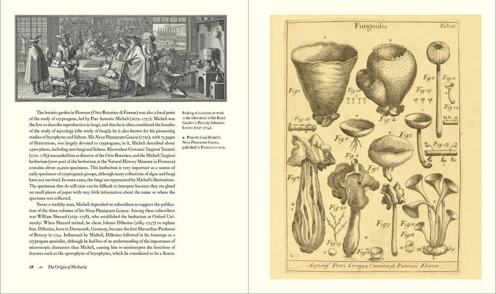Herbarium