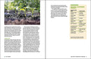 Grow Great Vegetables in Tennessee
