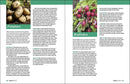 Grow Great Vegetables in Tennessee