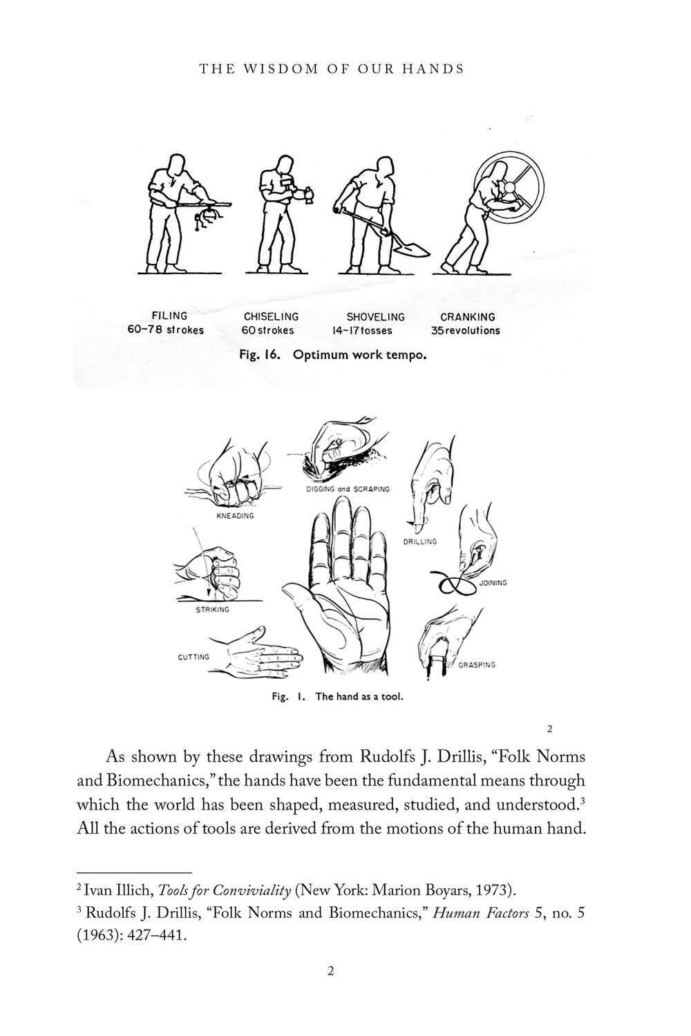 The Wisdom of Our Hands