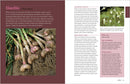 Rosemary Gladstar's Medicinal Herbs: A Beginner's Guide
