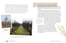 Grow a Little Fruit Tree: Simple Pruning Techniques for Small-Space, Easy-Harvest Fruit Trees