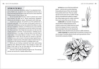 The Natural First Aid Handbook