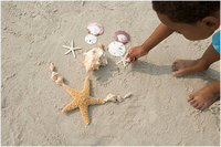 Backpack Explorer: Beach Walk
