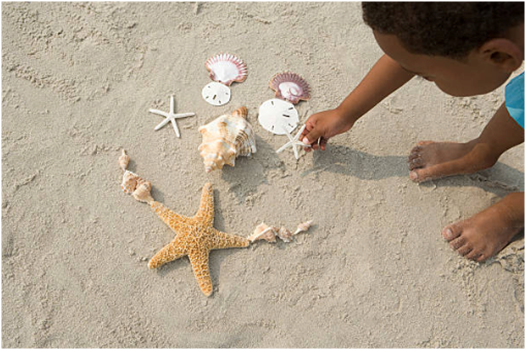 Backpack Explorer: Beach Walk
