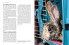 Veterinary Medicine
