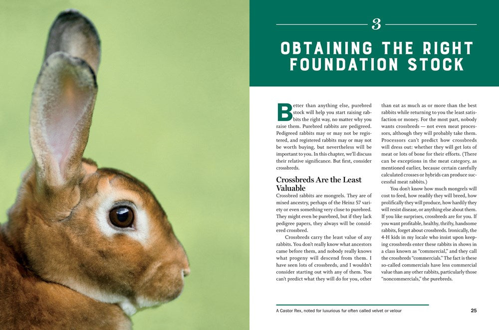 Storey's Guide to Raising Rabbits, 5th Edition