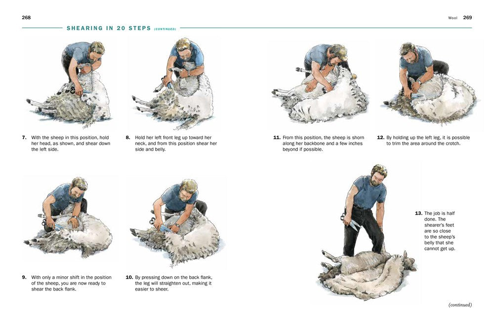 Storey's Guide to Raising Sheep, 5th Edition