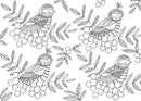 The Mindfulness Coloring Book
