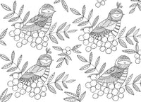 The Mindfulness Coloring Book