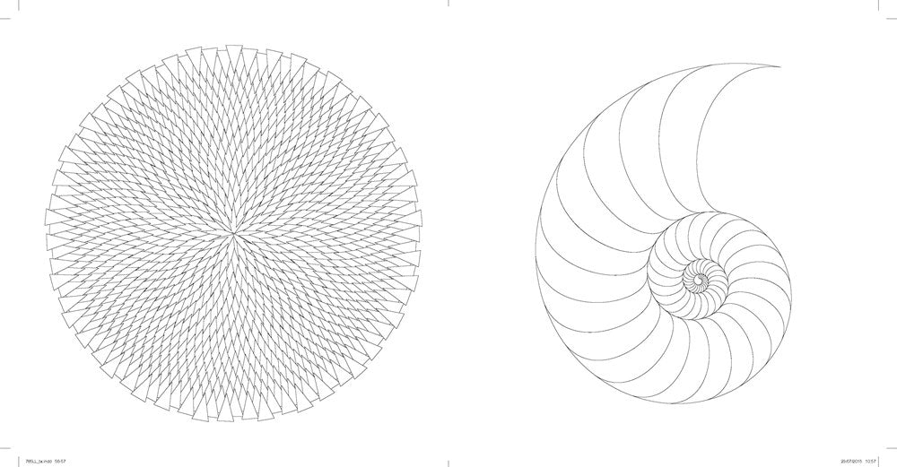 Patterns of the Universe