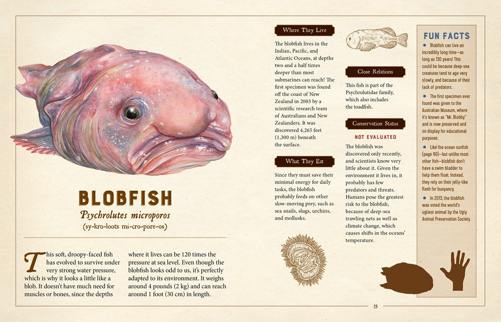 A Curious Collection of Peculiar Creatures
