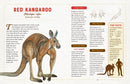 A Curious Collection of Dangerous Creatures