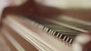 Visual Storytelling