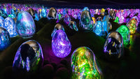 Immersive Storytelling for Real and Imagined Worlds