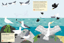 At the Seashore: My Nature Sticker Activity Book (Ages 5 and up, with 120 stickers, 24 activities and 1 quiz)