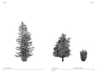The Architecture of Trees