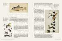 The History of Fly-Fishing in Fifty Flies
