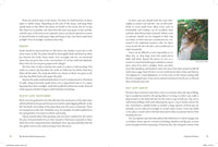 The Modern Herbal Dispensatory: A Medicine-Making Guide