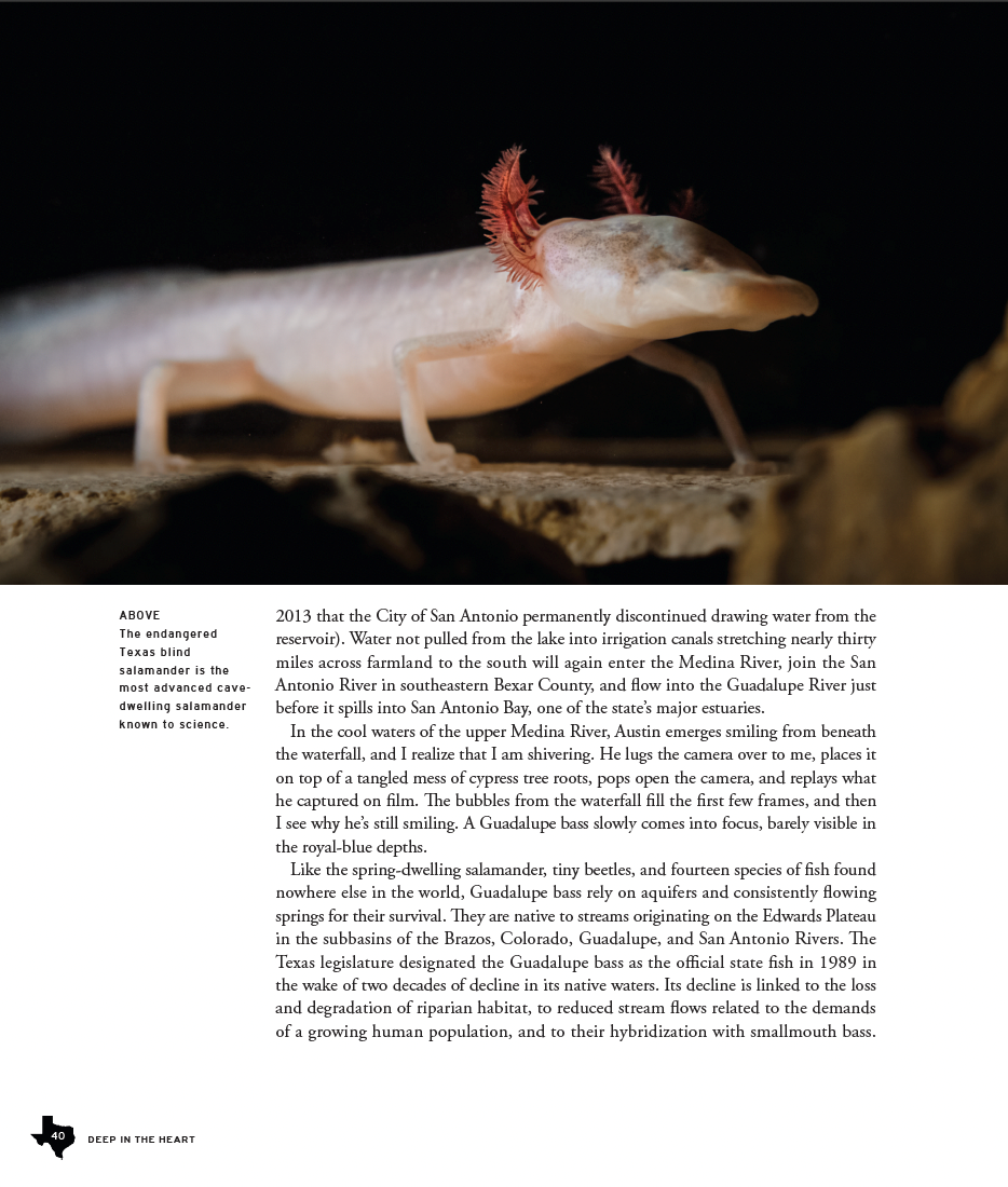 Deep in the Heart