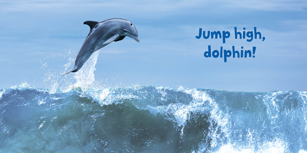 Big Beautiful Ocean: A Photographic Exploration!